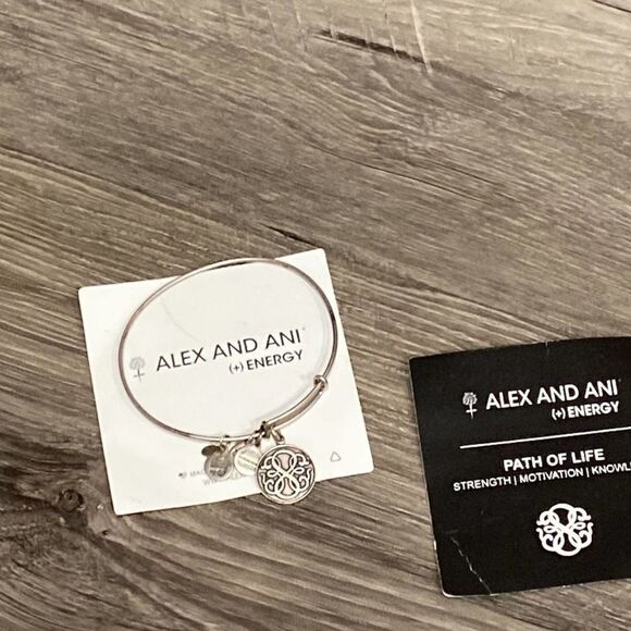 NWOT Women’s Alex and Ani Path Of Life 2014 Rafaelian Silver Bangle - Picture 2 of 8